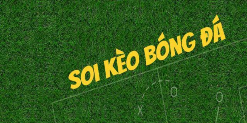 Bet168 Kèo Nhà Cái: Hướng Dẫn Cá Cược Bóng Đá Chi Tiết Nhất 2024 2 Cac loai keo bong da pho bien tren bet168