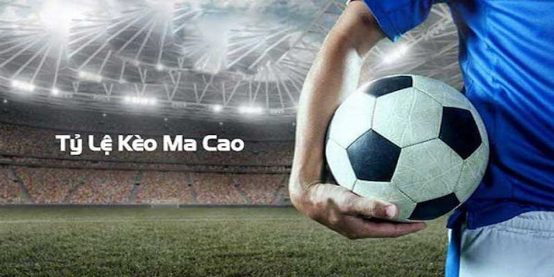 Kèo Macao: Hướng Dẫn Chi Tiết Từ A-z Cho Người Mới Bắt Đầu 2 Cac loai keo macao pho bien va cach doc
