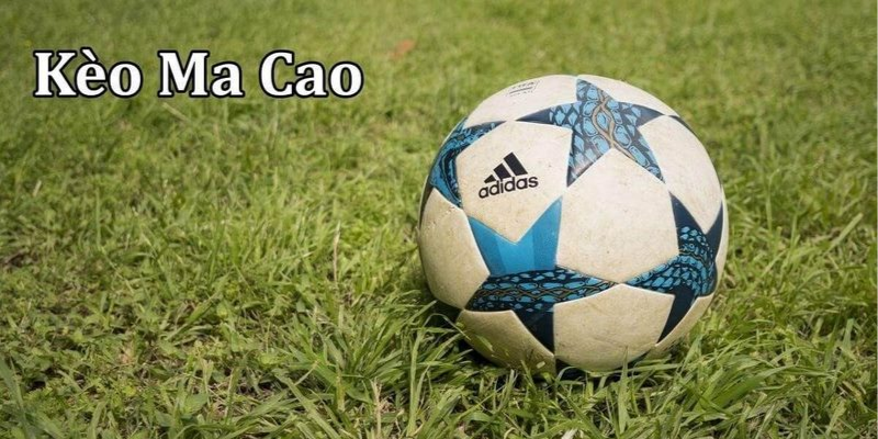 Kèo Macao: Hướng Dẫn Chi Tiết Từ A-z Cho Người Mới Bắt Đầu 3 Huong dan xem keo ma cao 7m va cac nguon uy tin