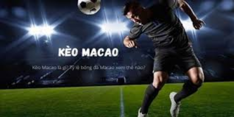 Kèo Macao: Hướng Dẫn Chi Tiết Từ A-z Cho Người Mới Bắt Đầu 1 Keo macao keo chau A la gi